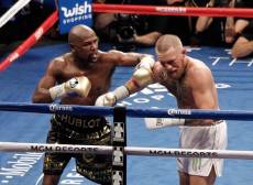 ‘49세’ 메이웨더 도발한 맥그리거 “백악관서 MMA로 붙자”…‘60세’ 타이슨까지 언급