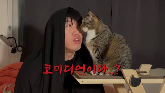 “고양이로 스탠드업 코미디를?” ‘고미디언’ 송하빈이 재밌는 이유
