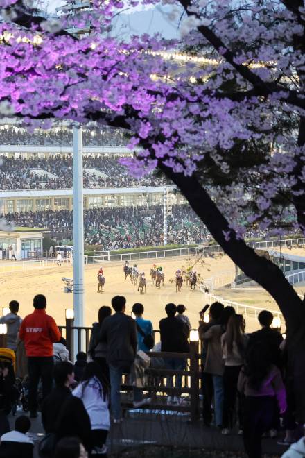 [경마] 2024년 한국 경마 10대 뉴스