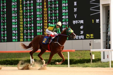 ‘관록 vs 패기’ 제19회 부산일보배, 단거리 최강 가린다