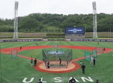 하루에 115명씩 테스트 가능? 울산 웨일즈 1차 서류 230명 사실상 '100% 합격' [IS 포커스]