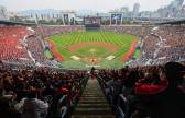 [2025 스포츠] 프로야구 1200만 관중, 김연경 '라스트 댄스'