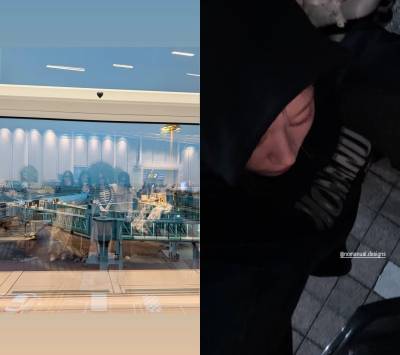 티아라 지연, 전남편 ‘은퇴’ 타이밍에…‘♥’ 눈길 [IS하이컷]