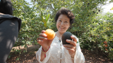 선우용여, 美저택 일상 공개…“국제 금융업 종사 사돈집”