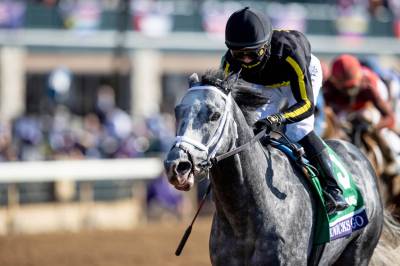 혈통이 역사 만든다…제2의 메니피 꿈꾸는 ‘닉스고’