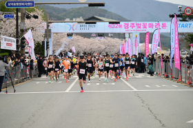 관광공사, ‘경주벚꽃마라톤’으로 글로벌 러너 유혹… K스포츠 관광 박차