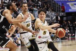 창원 LG, 12년 만에 정규리그 우승…창단 첫 통합 우승 도전