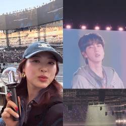 ‘김원효♥’심진화, BTS 콘서트 찾았다... “우리 석진이” 애정