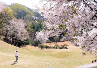 [포토]축구인 골프대회, 화사한 벚꽃 아래에서