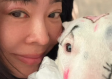 ‘폐암 수술’ 이혜영, 화장한 반려견과 찰칵…‘동물학대’ 갑론을박 [왓IS]